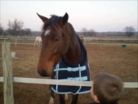 ma jument Quelle SYGI