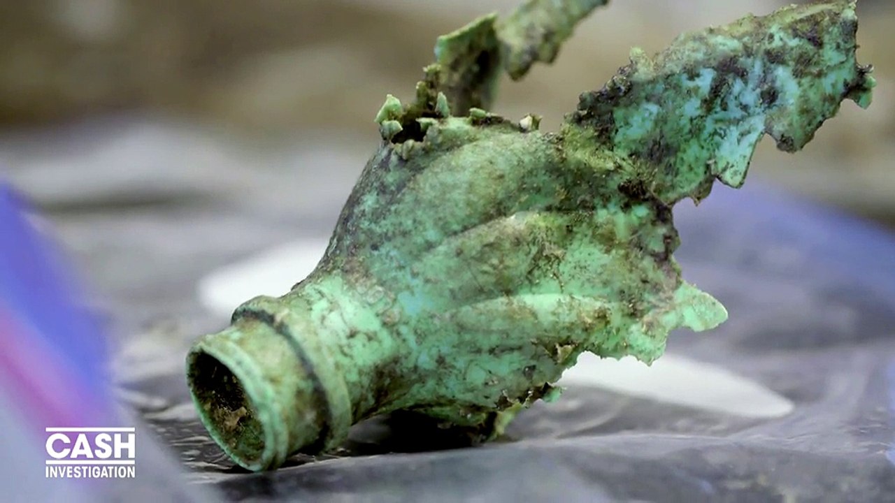 Du plastique… même dans le ventre de poissons qui croisent en eaux profondes