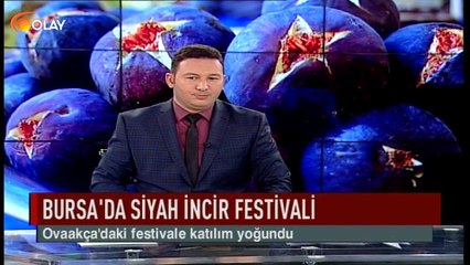 Bursa'da siyah incir festivali