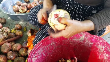 Çukurovalı kadınların ekşi mesaisi başladı - OSMANİYE