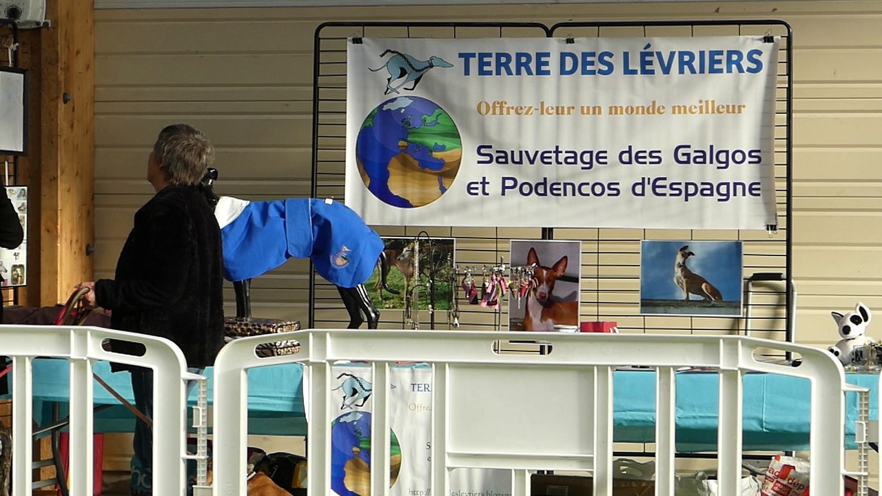 1er Fete du Chien à Bapaume - 8 et 9 Sept 2018