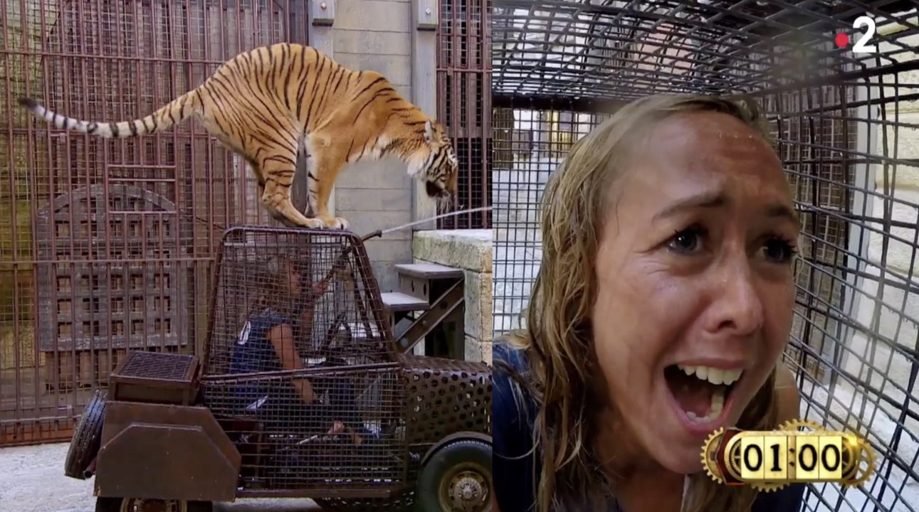 Enora Malagré en panique avec un tigre (Fort Boyard) - ZAPPING PEOPLE DU 10/09/2018