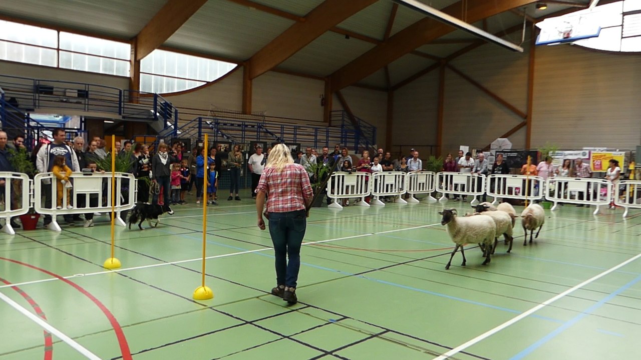 1ere Fête du Chien à BAPAUME