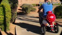 Affordable Price of Euro Style Scooter | Affordable Electric Vehicle | Pet Scooters