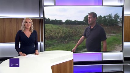Ulovlig medicin og behandling i USA: Borgmester ramt af borrelia - TVMV 09-09-2018