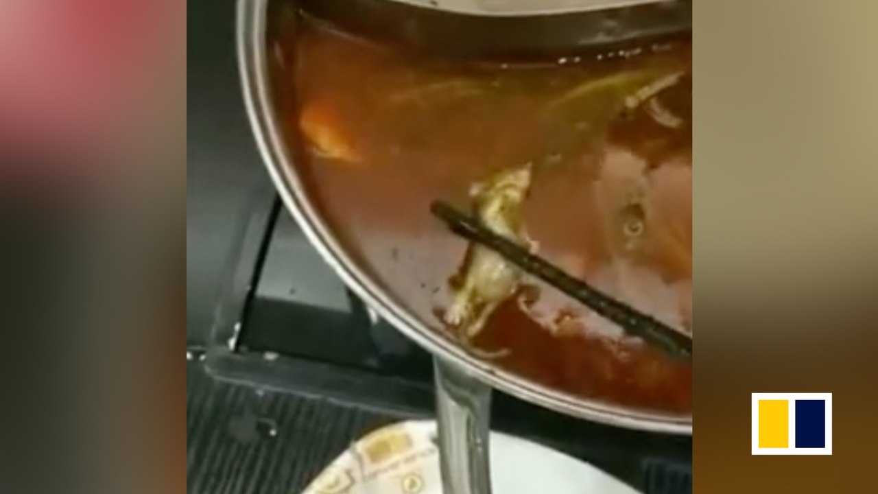 Pregnant woman finds dead rat midway through hotpot meal in China