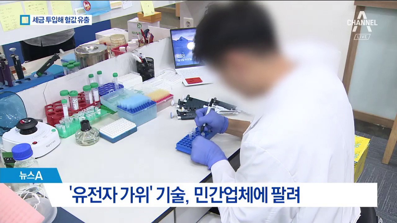 세금 29억 들인 ‘유전자 가위’ 기술…헐값 유출 논란