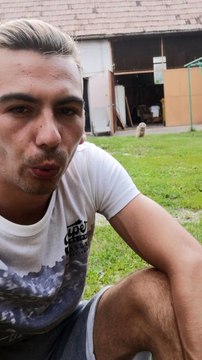 Un bébé hibou court vers son propriétaire