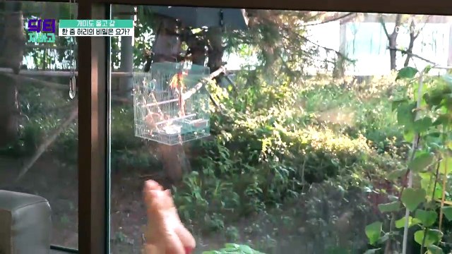 가슴은 그대로! 뱃살 지방만 쏙 빼는 운동법이 있다?