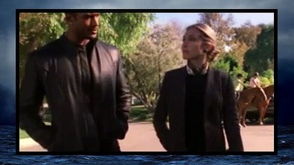 Shark S01E10