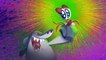 Zig and Sharko 2018 - Best Cartoon Marina Ultimate Cartoon Collection 2018 - Funny Cartoon For Kids