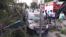 Şiddetli rüzgar nedeniyle ağaçtan kopan dallar 3 arabaya zarar verdi - MERSİN