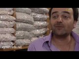 مسلسل ابو جانتي | ابو ليلى هدفي نسائي و مواصفات النسوان | ايمن رضا - سامر المصري