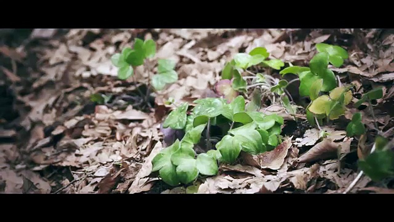 トラウマ級の血まみれ姿…映画『ミスミソウ』予告