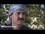 الخوالي   وداع نصار و ابو علي   بسام كوسا   صباح عبيد و حسام الشاه