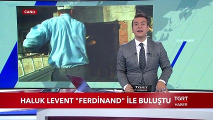 Haluk Levent, Yüzen Dana "Ferdinand" İle Buluştu