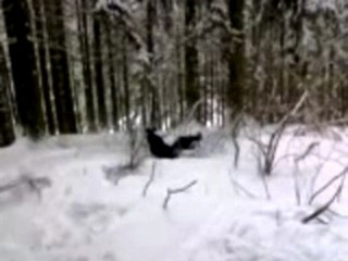 Ce face BEREA asta din oameni :))