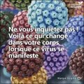 Si vous êtes atteint du papillomavirus, ne vous inquiétez pas, voici les changements que vous allez observer dans votre corps