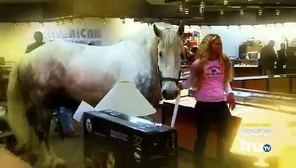 HardcorePawn  S04E05