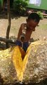 Inspiring Boy Chops Wood