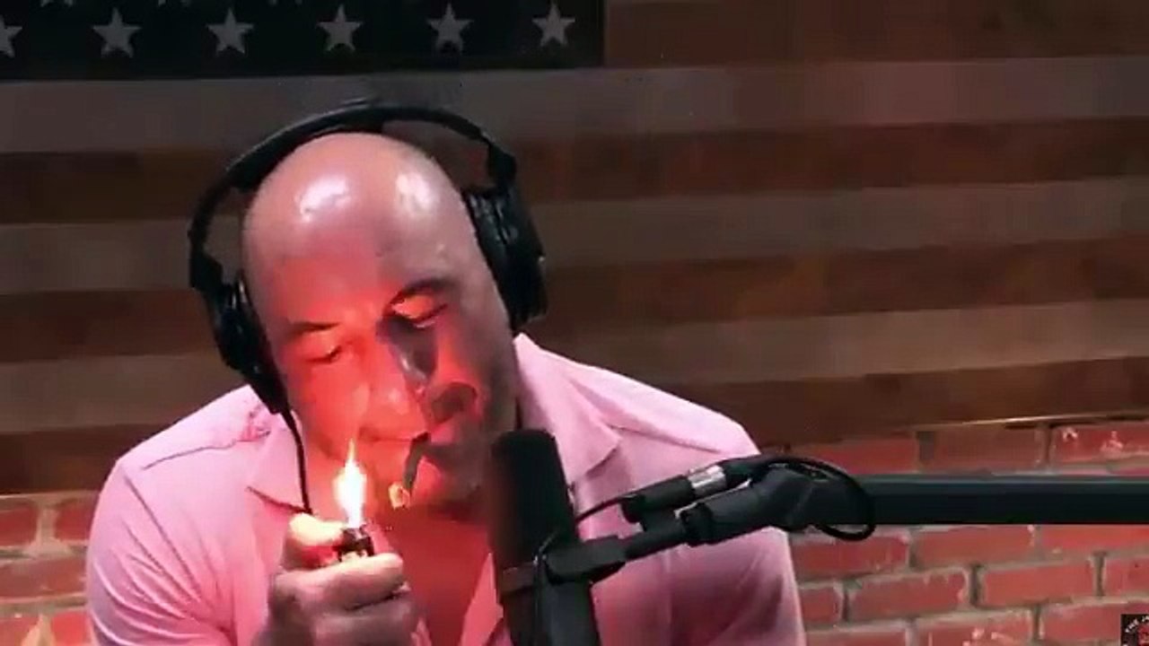 Elon Musk fume un joint pendant une interview filmée