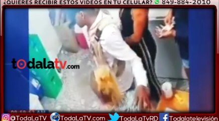 Rescatan empresaria de cotui había sido secuestrada-CDN-Video
