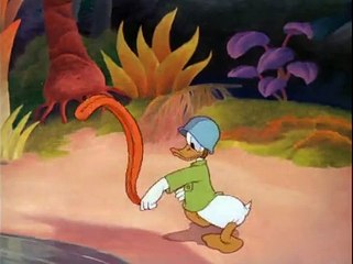 Donald Duck - Commando Duck