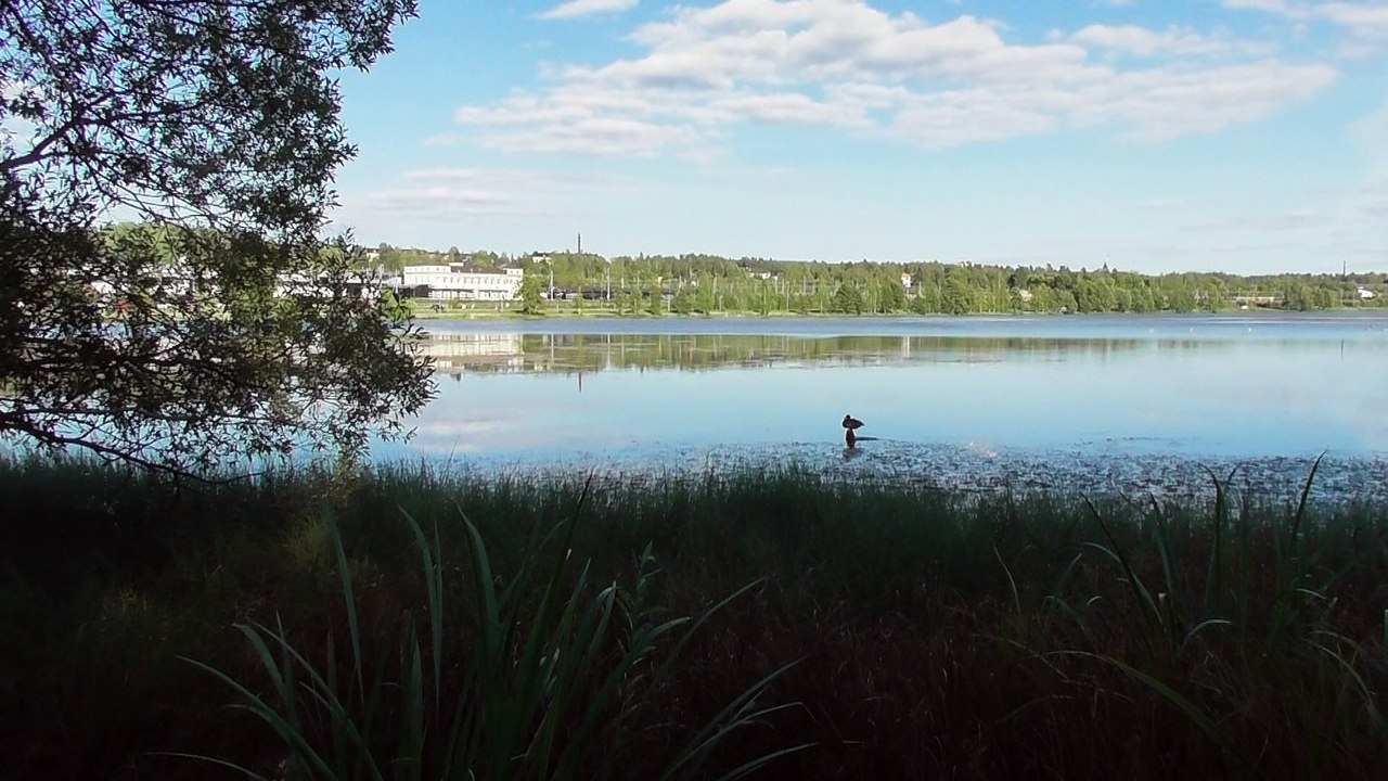 Sep 3 2018 F