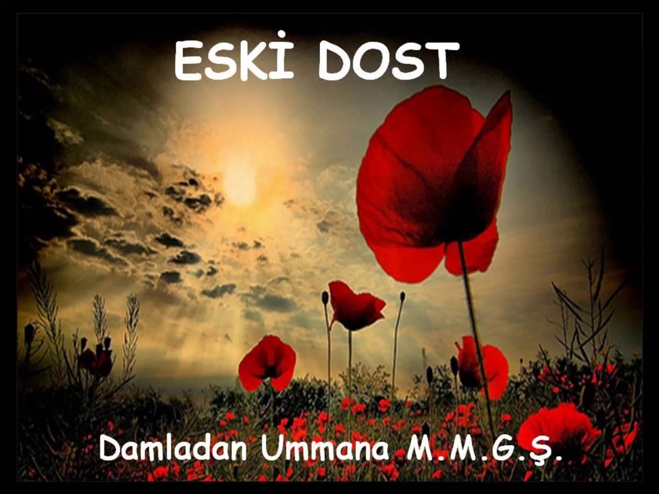 Eski dost Mustafa Murat Güngör Şiir Dinletisi
