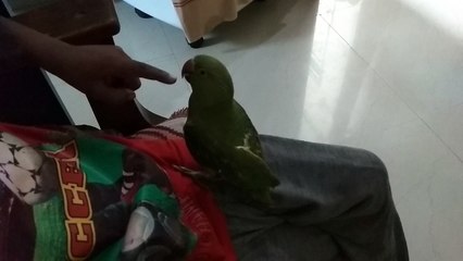 You see, I'm just chillin here and you are being annoying!