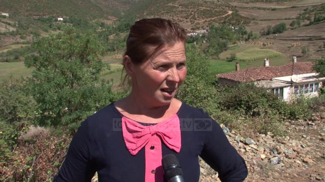 Mbetjet vrasin bagëtitë në Prrenjas, hidhen dhe digjen në qiell të hapur