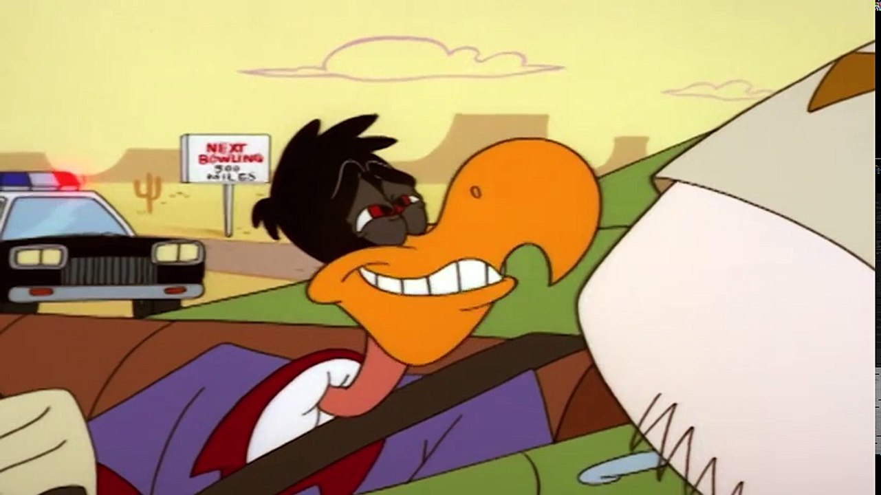 El Pajaro Loco en Español   Tontos   Dibujos Animados en Español