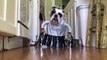 Try Not To Laugh At These Funny Pets In Costumes Video Compilation | Funny Pet Videos!