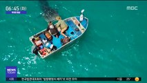 [투데이 영상] 호기심 많은 고래상어…우연한 만남