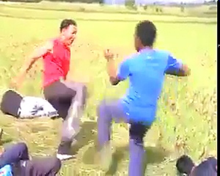 Hahaha les Malgaches, trop fort 