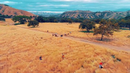 Cumbia Kalle - Tu tienes la culpa