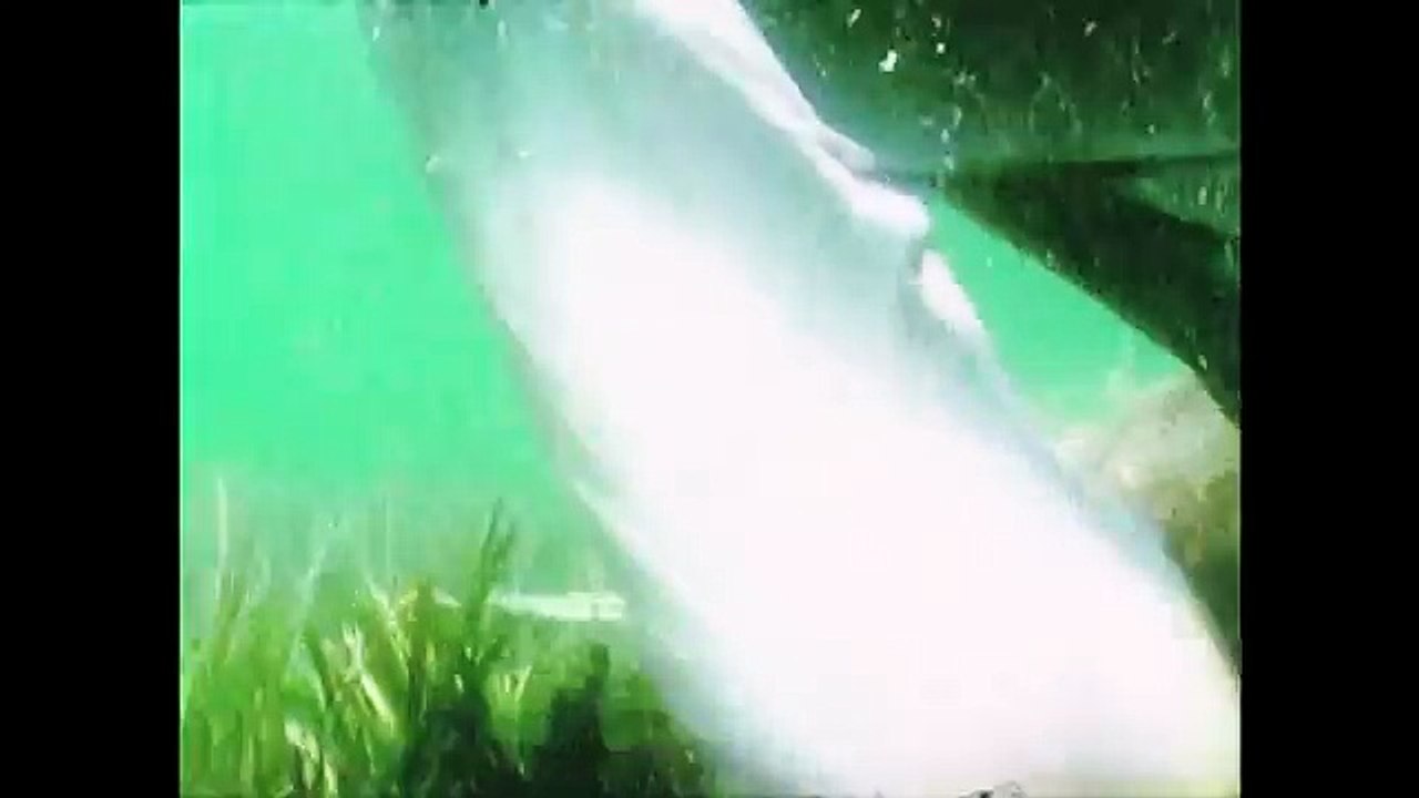 映画『KUICHISAN』『TECHNOLOGY』予告編