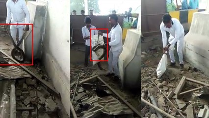 यूपी: अजगर निकलने से मचा हडकंप, इसकी लंबाई ने किया सबको चकित, देखें वीडियो