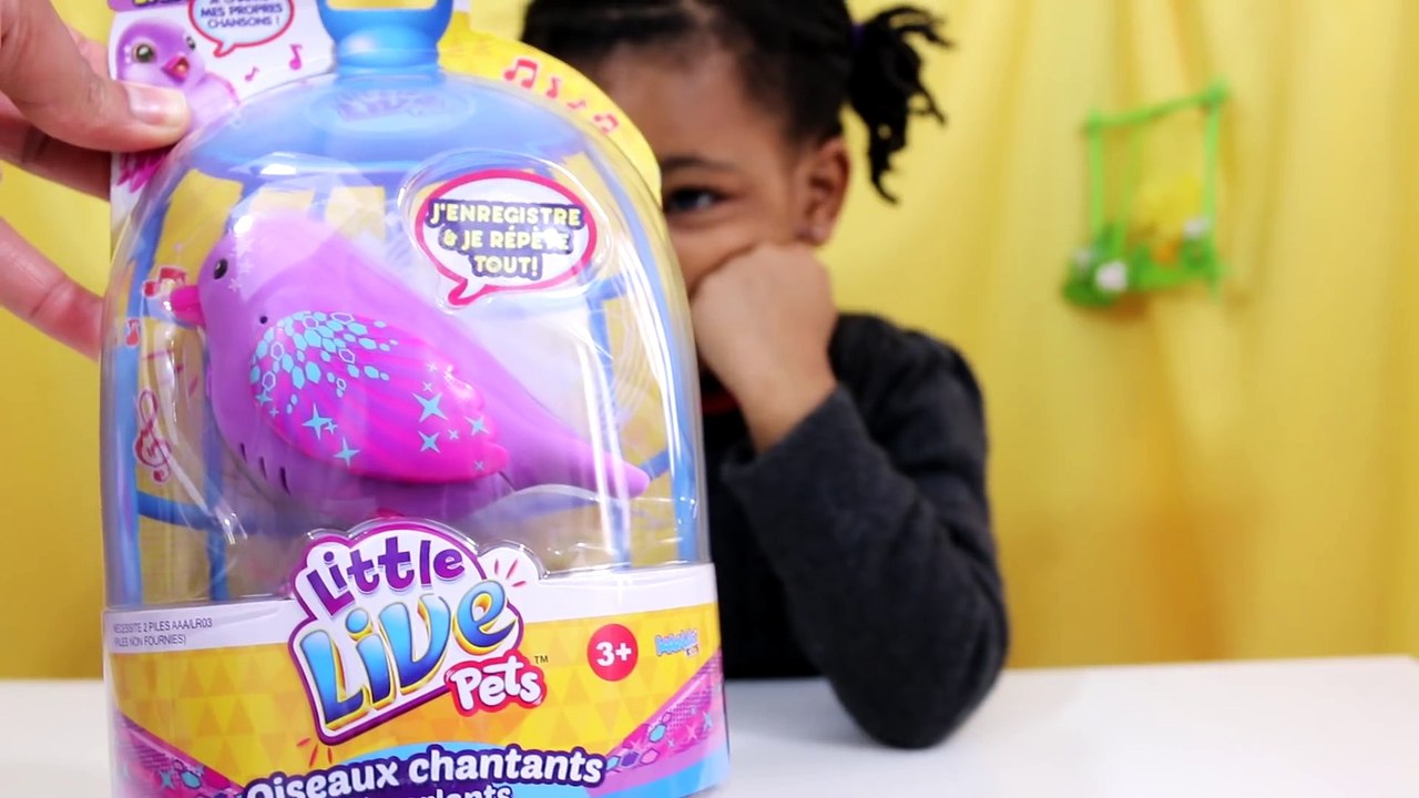 LITTLE LIVE PETS   L'oiseau qui parle, chante et répète tout ! (JOUET) (2)
