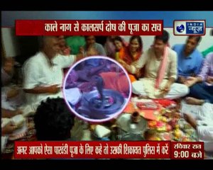 Viral Vishesh: काले नाग से कालसर्प दोष की पूजा का सच, धार्मिक मान्यता या पंडितों का पाखंड?