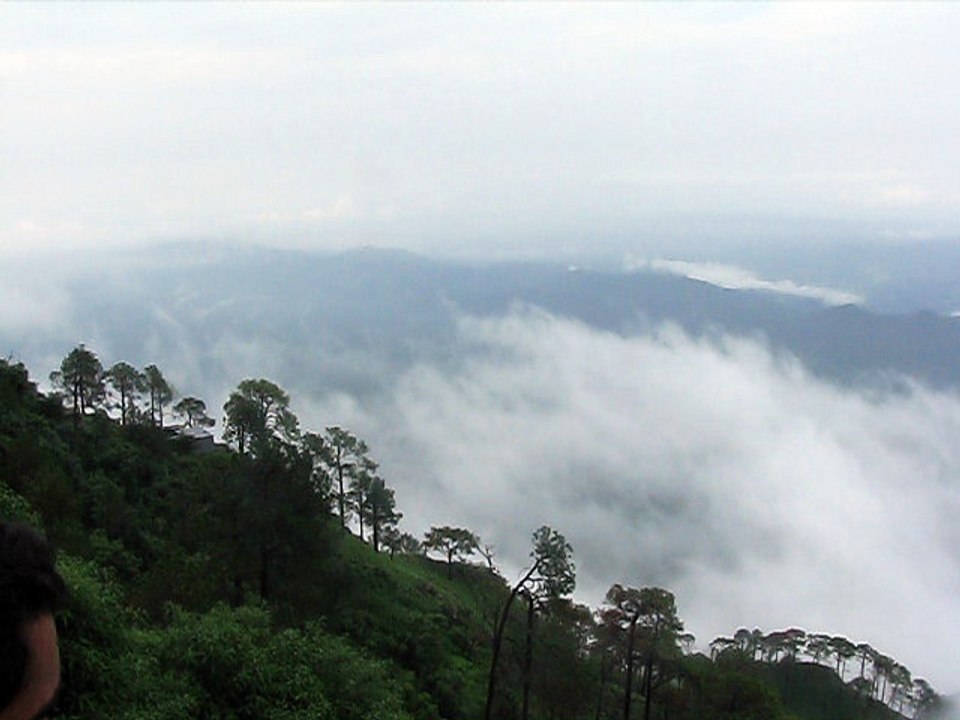 Nature beauty