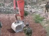 Israel destroys trees in Ertas village