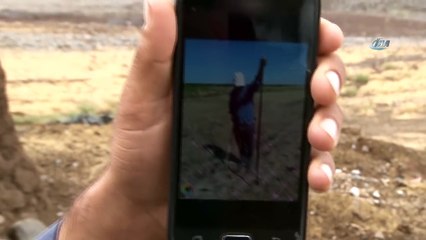 Diyarbakır’da Büyük Yılanlar!  Bir Köy Diken Üstünde...