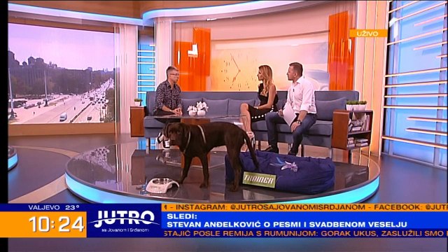 SAŠA POPOVIĆ O NOVOM FORMATU ZVEZDA GRANDA: Od sada će se i ŽIRI TAKMIČITI i ovo je prva godina kada će oni biti MENTORI!