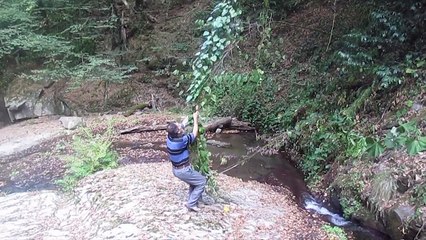 Tarzana özendi, sarmaşık kopunca yere çakıldı