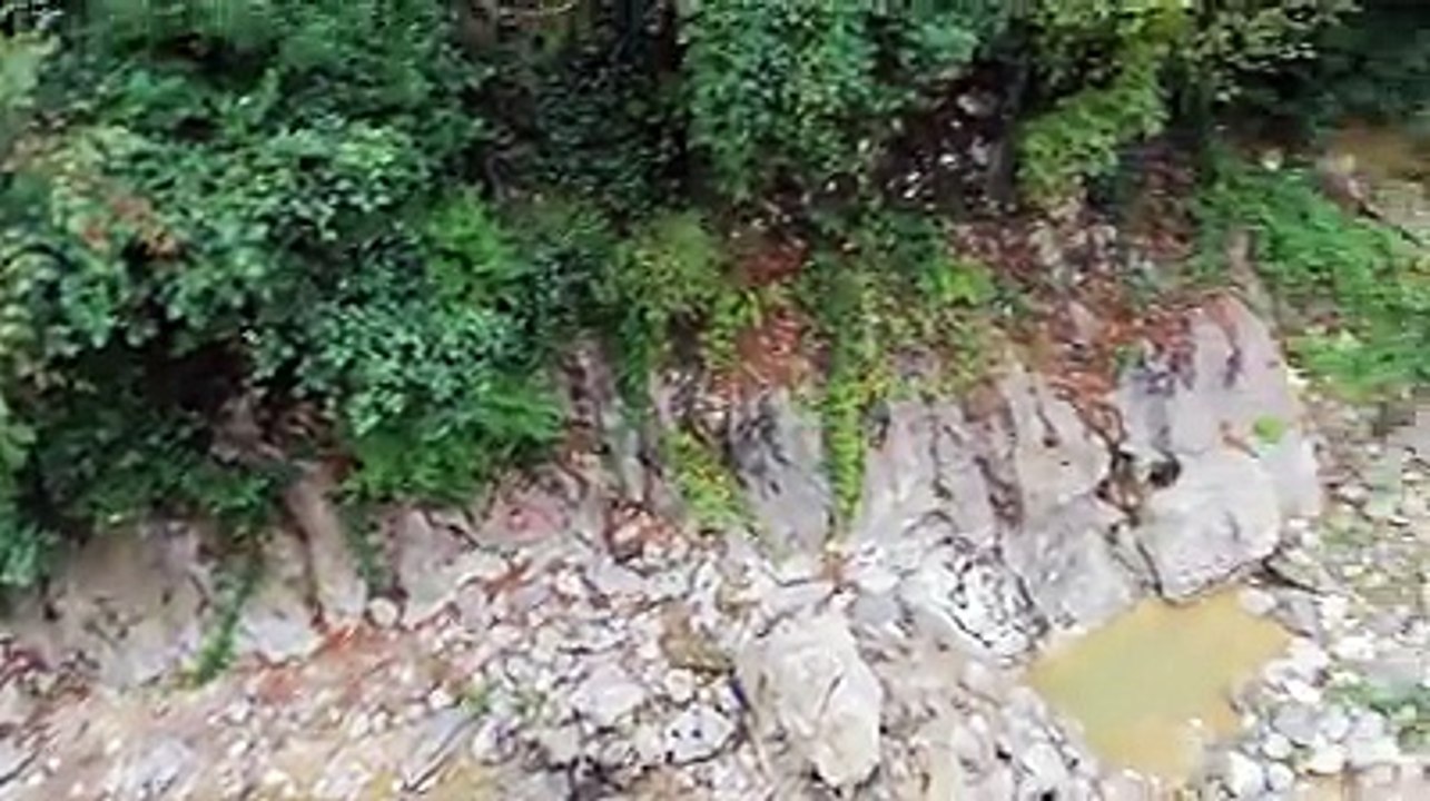 Yolda durdu böyle seslendi… Kastamonu’ya gitti!