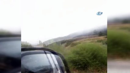 Atı otomobilin arkasına bağladı