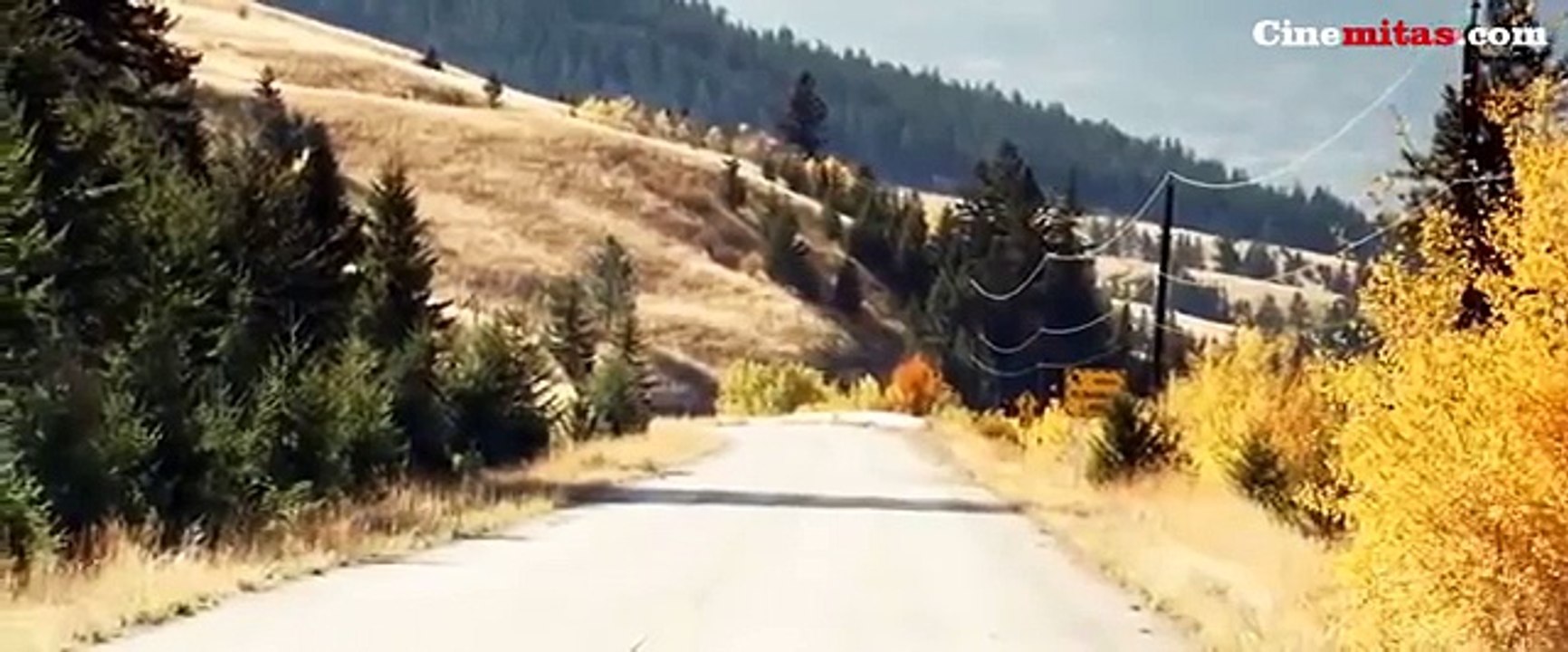 EL DUELO EN EL ASFALTO peliculas completas en español latino