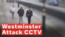 CCTV Shows Westminster Attack Victim's Final Moments