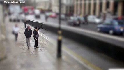 CCTV Shows Westminster Attack Victim's Final Moments